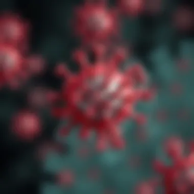 Aciclovir Mechanism of Action Overview of Aciclovir Mechanism