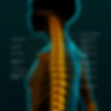 Classification Types of Adolescent Idiopathic Scoliosis Diagram showing the classification types of AIS