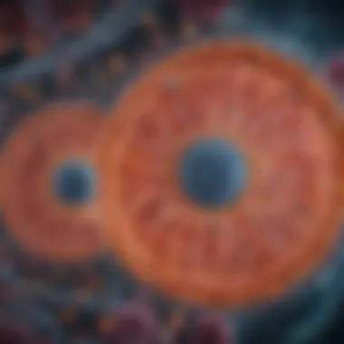 Prokaryotic vs Eukaryotic Cells Diagram comparing prokaryotic and eukaryotic cells side by side