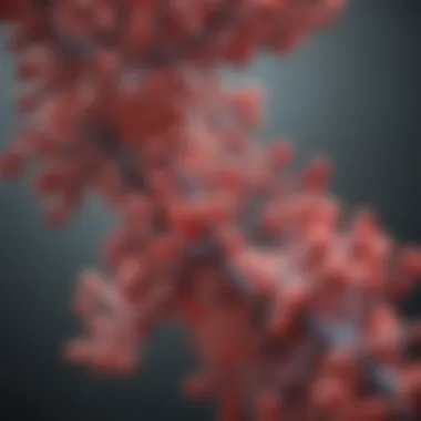 Notable Understanding AP2 Antibody: Structure, Function, and Clinical Implications
