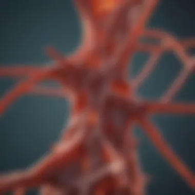 Understanding AP2 Antibody: Structure, Function, and Clinical Implications Summary Understanding AP2 Antibody: Structure, Function, and Clinical Implications Summary