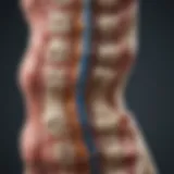 Illustration showcasing the anatomy of the spine affected by axial arthritis