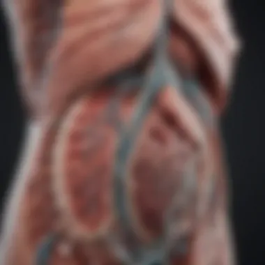 Anatomical depiction of biliary system highlighting malignancies