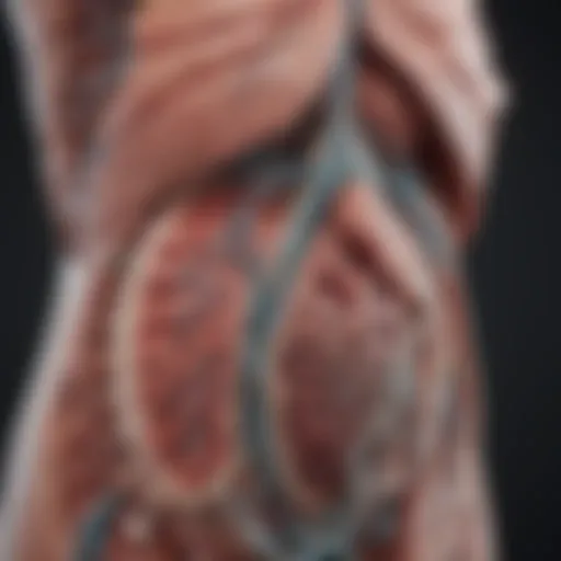 Anatomical depiction of biliary system highlighting malignancies