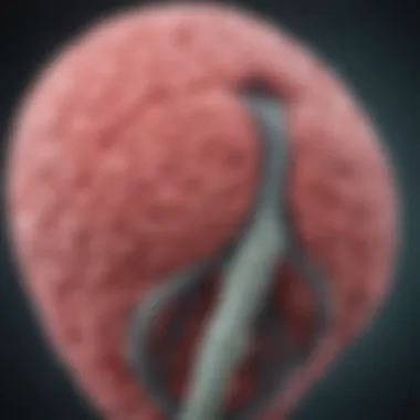 Diagnostic imaging techniques used in detecting biliary malignancies