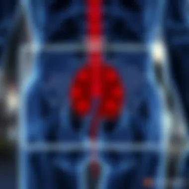 Symptoms of BPH Chart depicting symptoms associated with benign prostatic hyperplasia