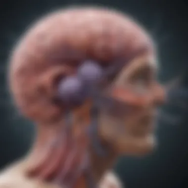 Illustration of Cancer Metastasis Pathways Diagram illustrating the process of cancer metastasizing to the brain
