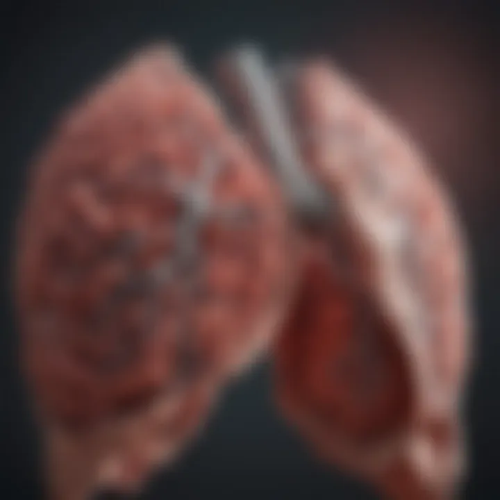 Graph depicting lung cancer types and statistics