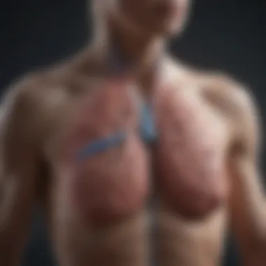 Overview of Lung Cancer Treatment Options Visual representation of treatment options for lung cancer