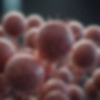 Capping enzymes and their role in gene expression regulation Role of capping enzymes in gene regulation