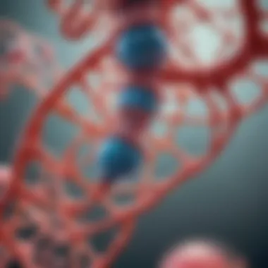 Illustration of RNA cap addition mechanism Mechanism of RNA cap addition