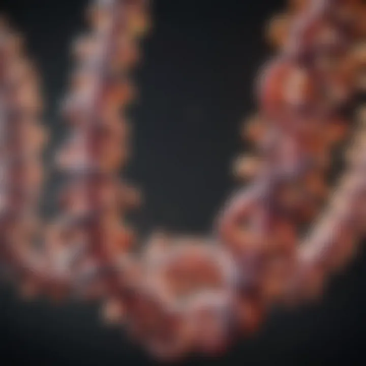 Visual representation of different types of gene mutations.