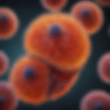 Understanding CD34+ Cells: A Comprehensive Overview Summary Understanding CD34+ Cells: A Comprehensive Overview Summary