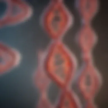 Gene Expression in Cell Differentiation Illustration of gene expression during cell differentiation