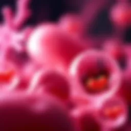 Visual representation of cholesterol types