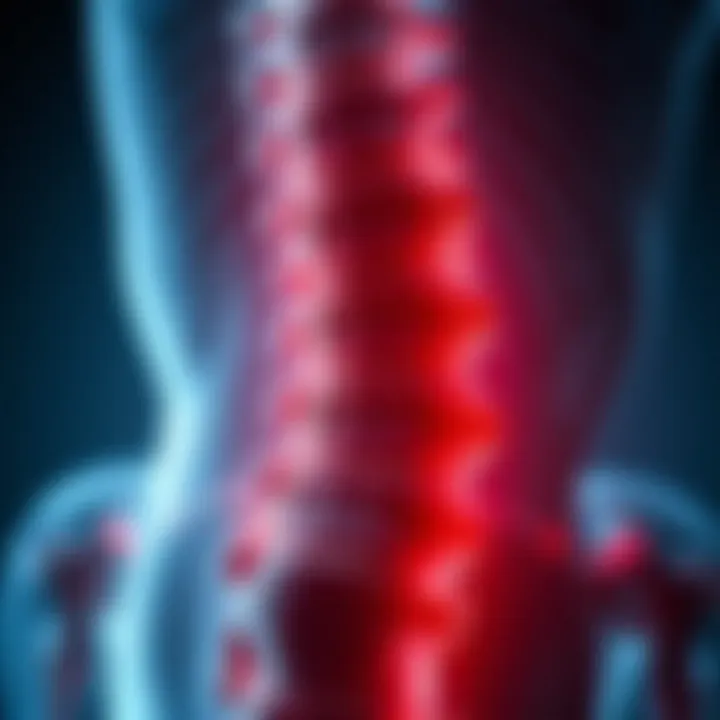 Common Symptoms of Disc Inflammation Visual representation of common symptoms associated with discitis