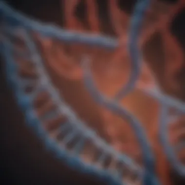 Implications of DNA-E Protein in Genetic Regulation Chart illustrating implications of DNA-E protein in genetic regulation