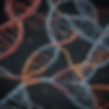 Interaction Networks of DNA-E Protein Diagram showcasing DNA-E protein interactions