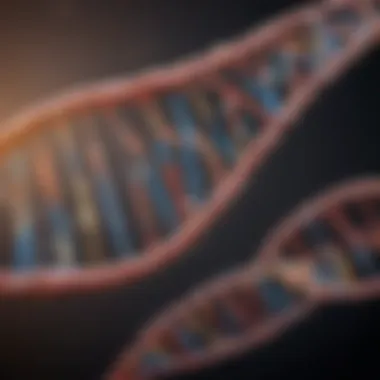 Synthesis Pathways of DNA-E Protein Infographic on DNA-E protein synthesis