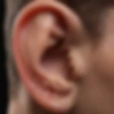 Anatomy of the Ear: Understanding Hearing Mechanisms Diagram illustrating the anatomy of the ear