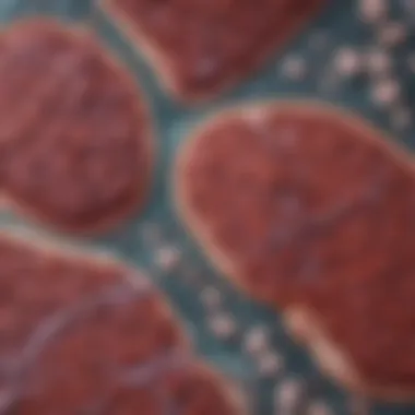 Diagnostic Considerations for Liver Enzymes and Diarrhea Flowchart of diagnostic considerations for elevated liver enzymes and diarrhea.