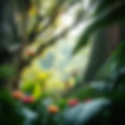 A vibrant rainforest ecosystem showcasing diverse flora and fauna