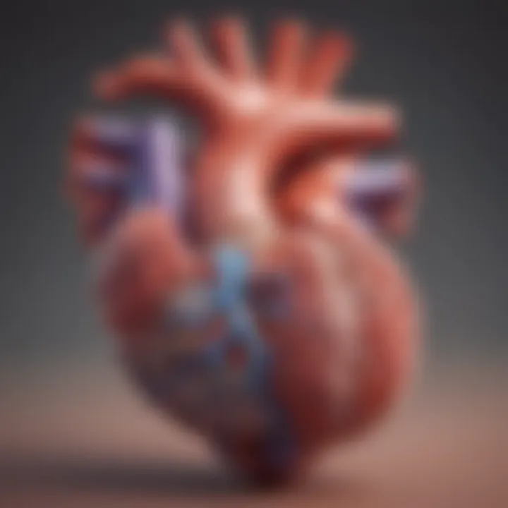 Diagram illustrating the layers of the heart affected by fibrosis