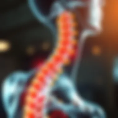 Diagram illustrating spinal stability and musculature support