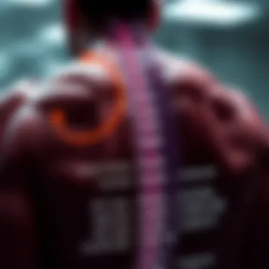 Graph explaining contributing factors to muscular degeneration