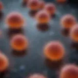 Understanding Flow Cytometry: The Roles of CD4 and CD8 T Cells Introduction