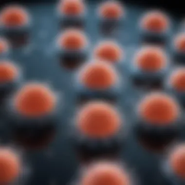 Notable Understanding Flow Cytometry: The Roles of CD4 and CD8 T Cells Notable Understanding Flow Cytometry: The Roles of CD4 and CD8 T Cells