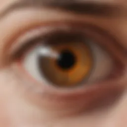 Detailed diagram illustrating the layers of the cornea affected by Fuchs corneal disease