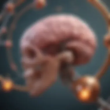 Mechanism of Chemotherapy in Glioblastoma Multiforme Mechanism of action of chemotherapy agents in GBM treatment