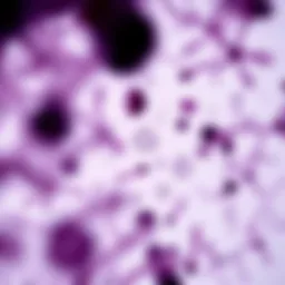 Illustration of gram-positive Clostridium difficile under a microscope