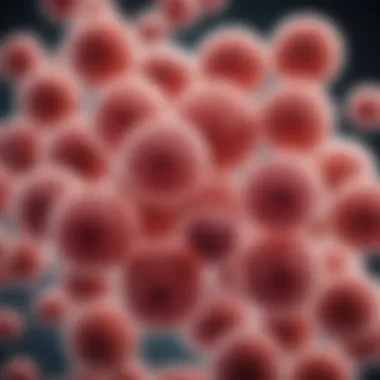 Group B Streptococcus Bacteria Illustration of Group B Streptococcus bacteria