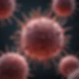 Illustration of T cell activation and proliferation
