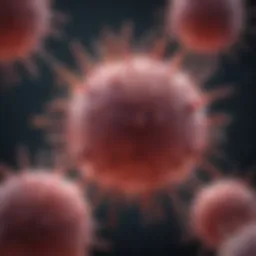 Illustration of T cell activation and proliferation