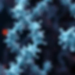 Diagram illustrating HLA class 1 structure and function