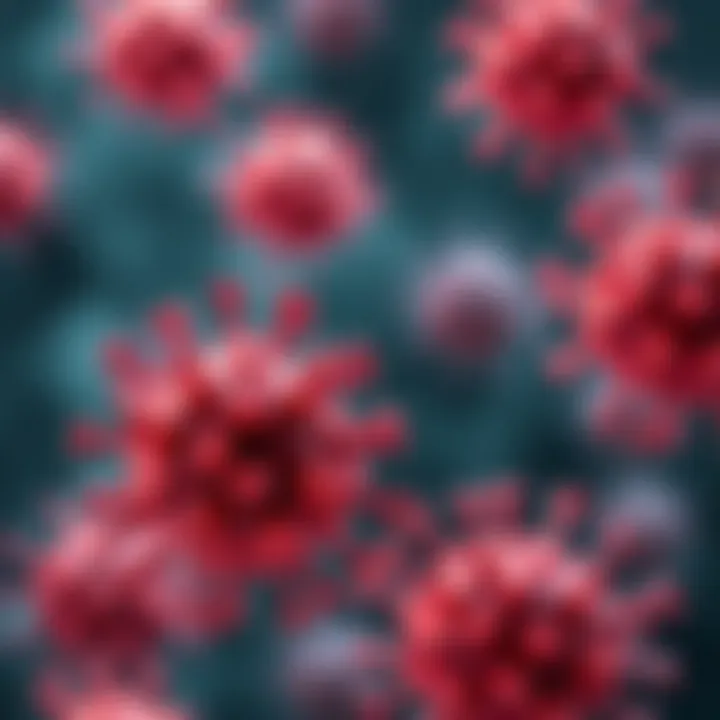 Illustration of HLA class 2 interactions with immune cells