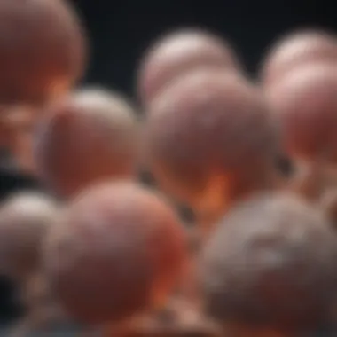 Embryonic Development Stages Visual representation of embryonic development stages