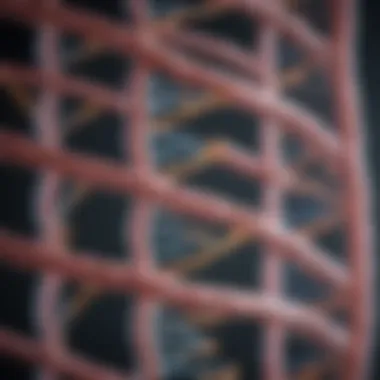 Structure of Cot DNA Illustration depicting the structure of cot DNA