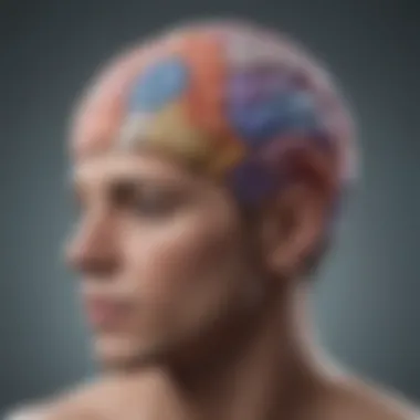 Neurological Interplay of Sensory Systems A modern brain scan illustrating various sensory areas and their interactions
