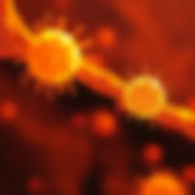 Visual comparison of pluripotent stem cells