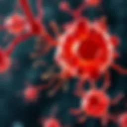 Illustration of induced pluripotent stem cell reprogramming