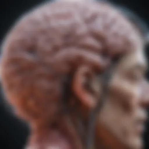 A detailed brain scan showing the effects of late dementia