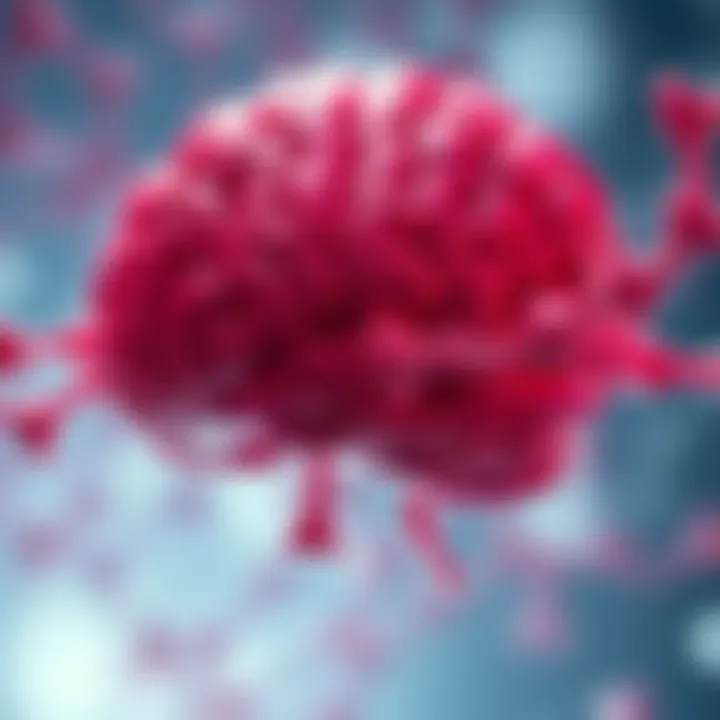 Conceptual representation of the blood-brain barrier