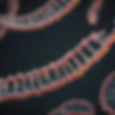 mRNA Technology in Biotechnology Visual representation of mRNA technology in biotechnology applications