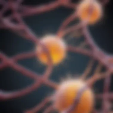 Diagram illustrating mRNA's role in protein synthesis