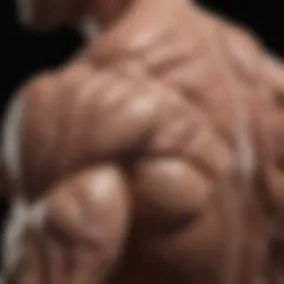 Visual representation of muscle atrophy