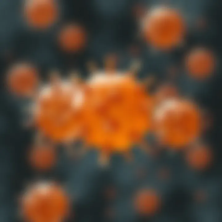 Impact of vitamin deficiencies on immunity